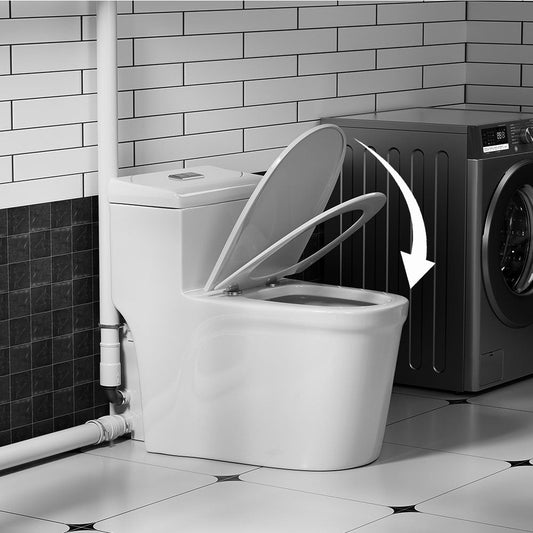 SNFLEX One-Piece Macerating Toilet | 600W Upflush Toilet